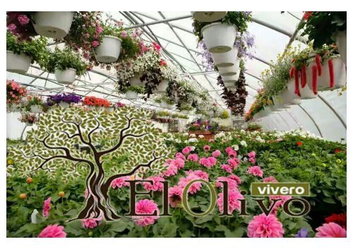 Vivero el olivo- CV.LOSH