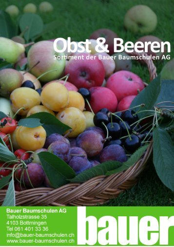 Obst definitiv