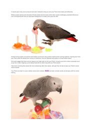 Training Parrots