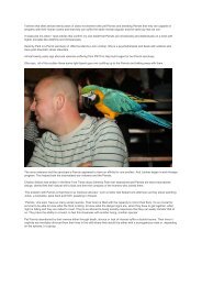 Dot Schwarz - Parrots & PTSD