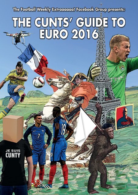 FWE Euro 2016 Guide