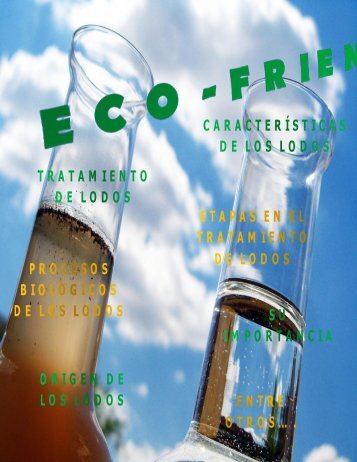 Prueba de revista
