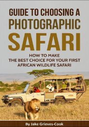 Free Guide to Choosing a Safari