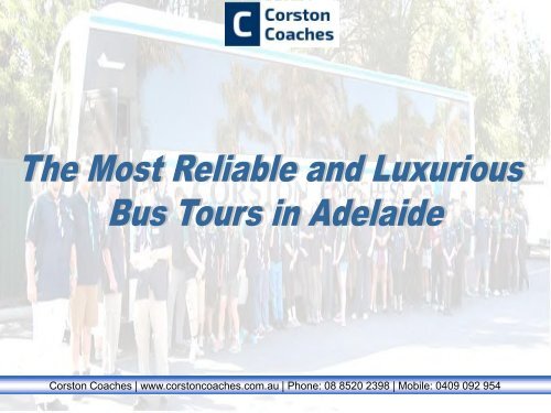 Bus Tours in Adelaide Organized by Professionals