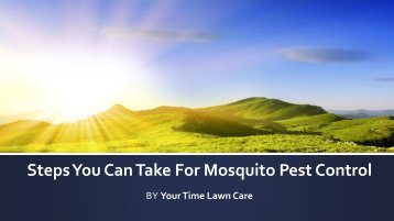 Steps You Can Take For Mosquito Pest Control
