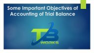 Some Important Objectives of Accounting of Trial Balance