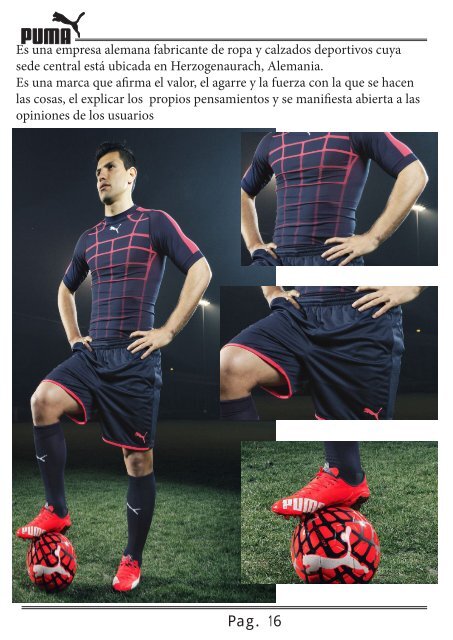 proyecto puma