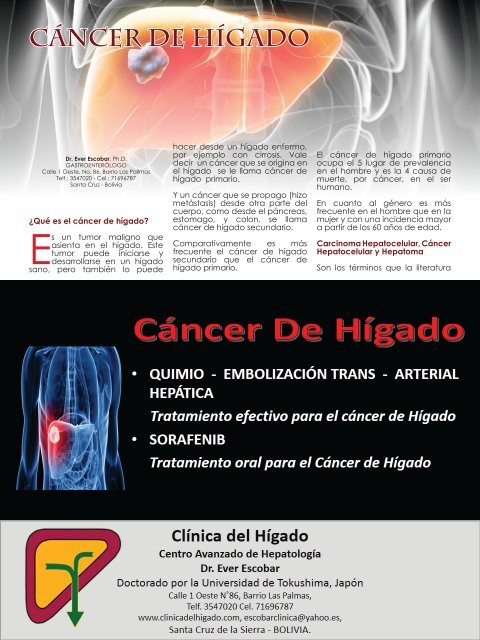 Revista Vida Saludable - 1ra Edición