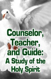 Counselor, Teacher, and Guide