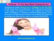 Regular Cleaning Maintenance Renton WA| Non-Stop Maids 