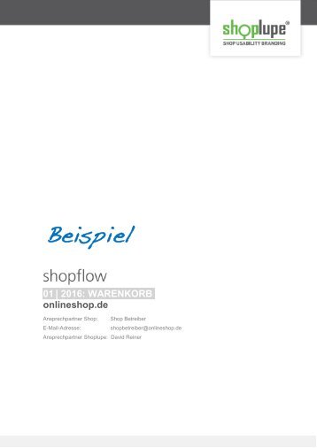 shopflow Audit Beispiel