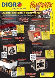 Feuerwerk