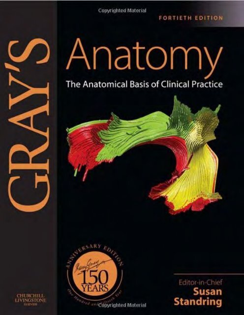 moore atlas of human anatomy pdf