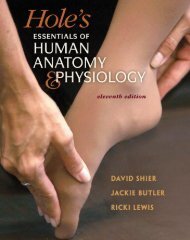 holes essentials of human anatomy physiology 11e