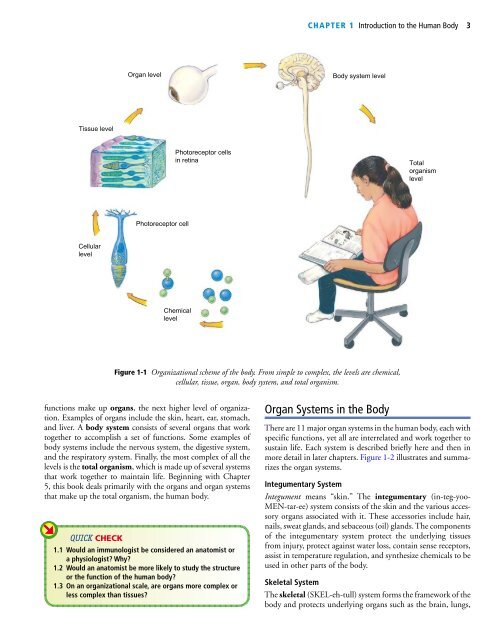 theanatomyandphysiologylearningsystem4epdfdr-150930024720-lva1-app6891