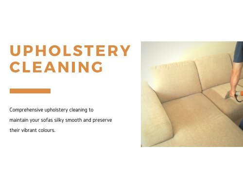 Expert Carpe Cleaning in Brisbane