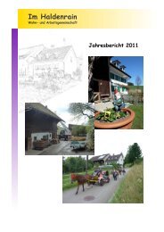 Jahresbericht 2011