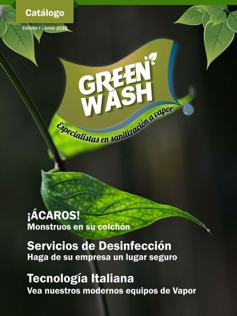 CATALOGO GREEN WASH JUNIO