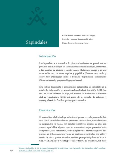 Pedregal Comisión Román contribuciones Szalay/Banco