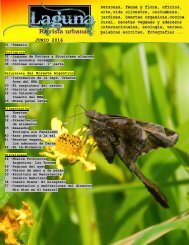 Laguna, revista urbana-junio 2016-