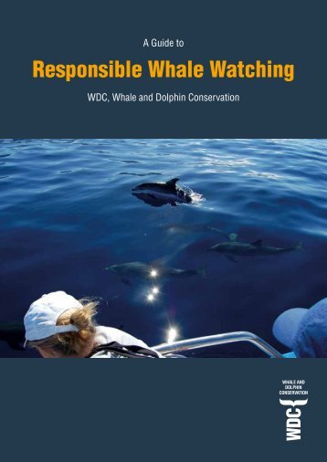 Responsible Whale Watching