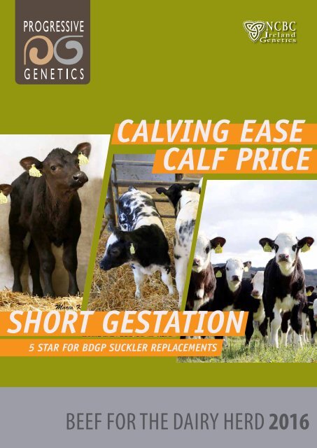 Calving Ease Calf Price Short Gestation