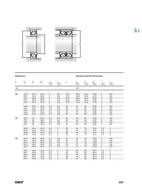 SKF - Rolling Bearings