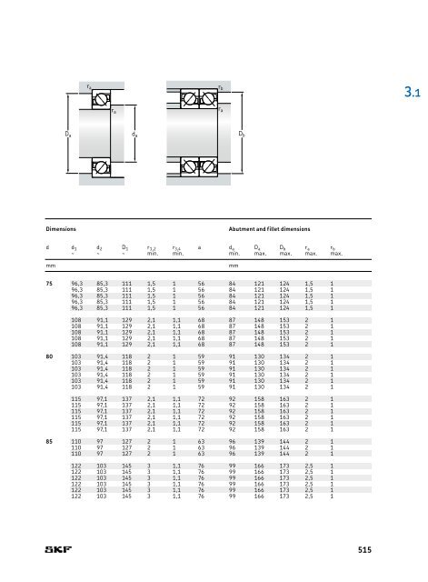 SKF - Rolling Bearings