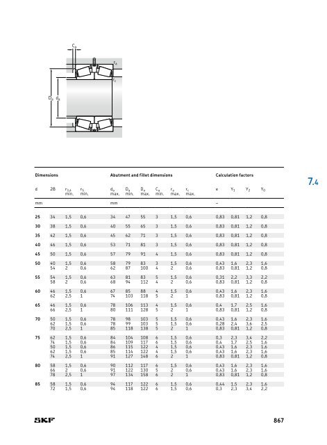 SKF - Rolling Bearings