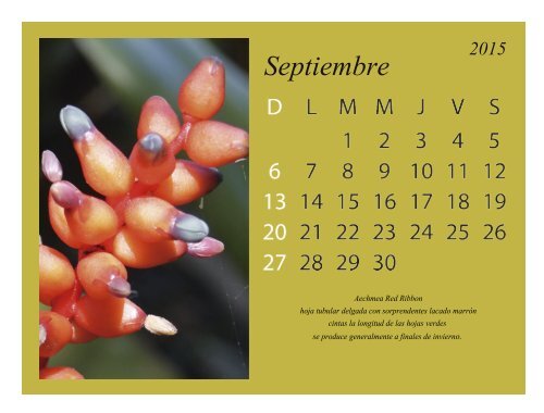 calendario listo