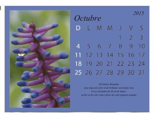 calendario listo