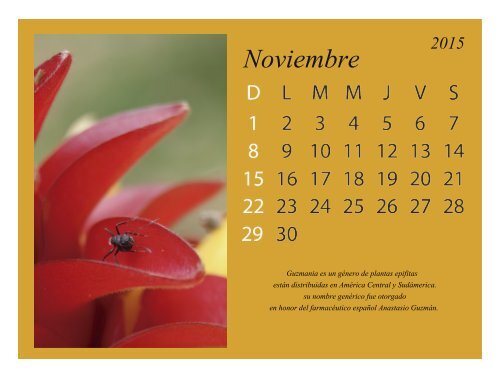 calendario listo