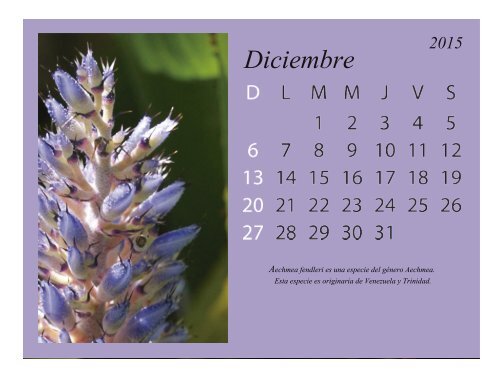 calendario listo