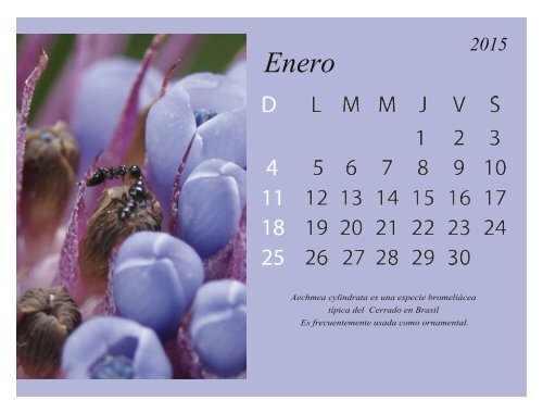 calendario listo