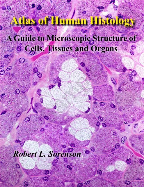 atlas of human histology guide