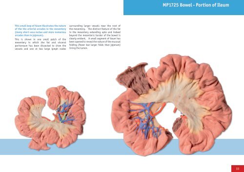 3D Anatomy Series