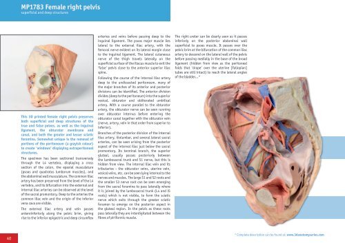 3D Anatomy Series