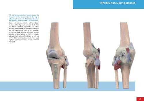 3D Anatomy Series