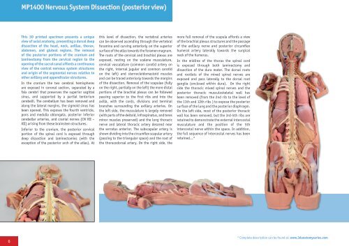 3D Anatomy Series