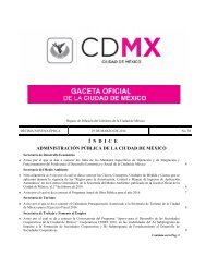 Í N D I C E ADMINISTRACIÓN PÚBLICA DE LA CIUDAD DE MÉXICO