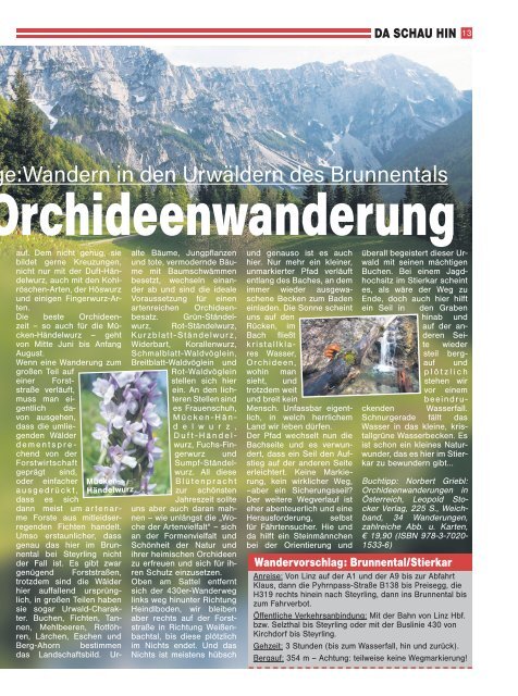 Wochenblick Ausgabe 10/2016