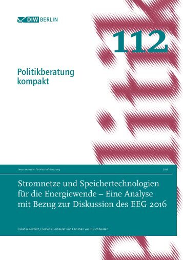Stromnetze und Speicher für die Energiewende
