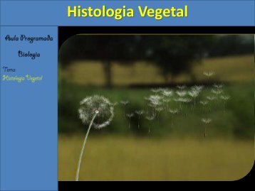 Aula Histologia e Organologia Vegetal