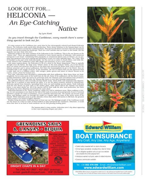 Caribbean Compass Yachting Magazine July 2016