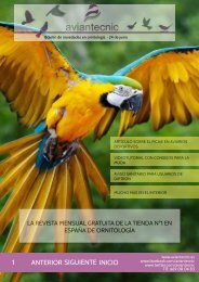 Aviantecnic - Revista de ornitología