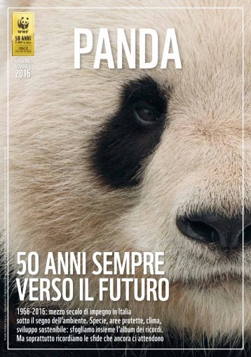Panda 03 2016