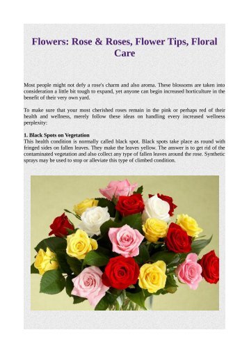 Flowers: Rose & Roses, Flower Tips, Floral Care