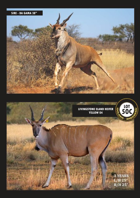 Eland, Kudu, Nyala & Oryx e-alert