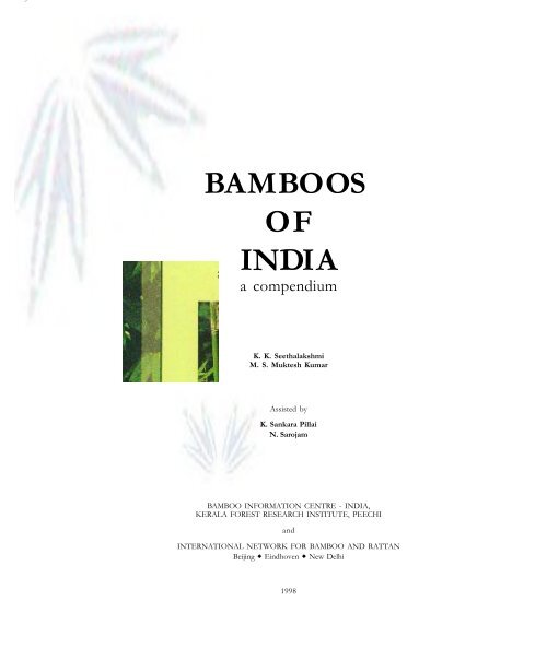 BAMBOOS OF INDI A