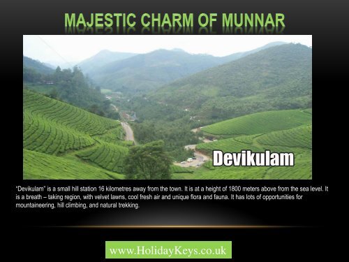 Majestic Charm of Munnar - HolidayKeys.co.uk